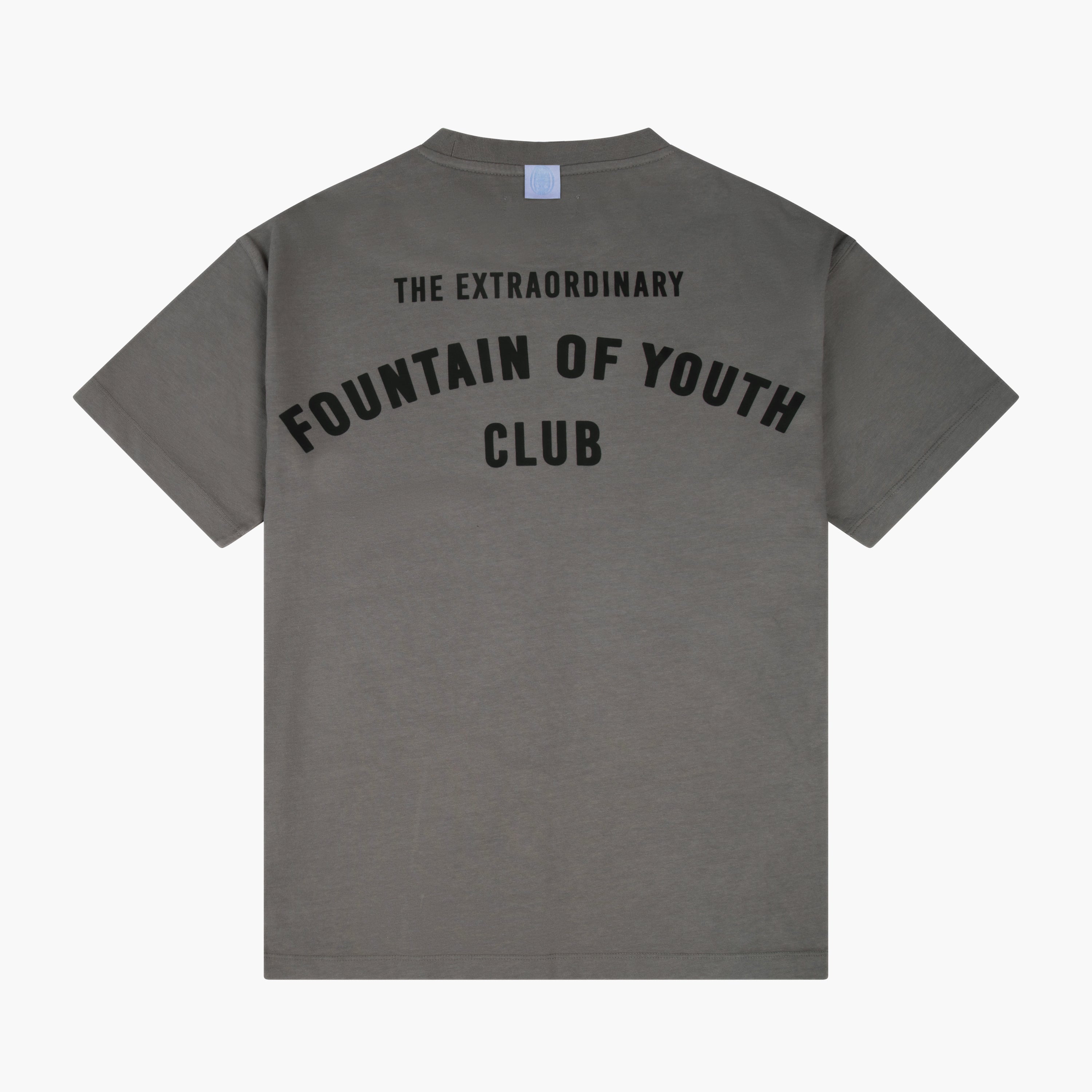 Fountain Of Youth Essential T-Shirt Wesley
