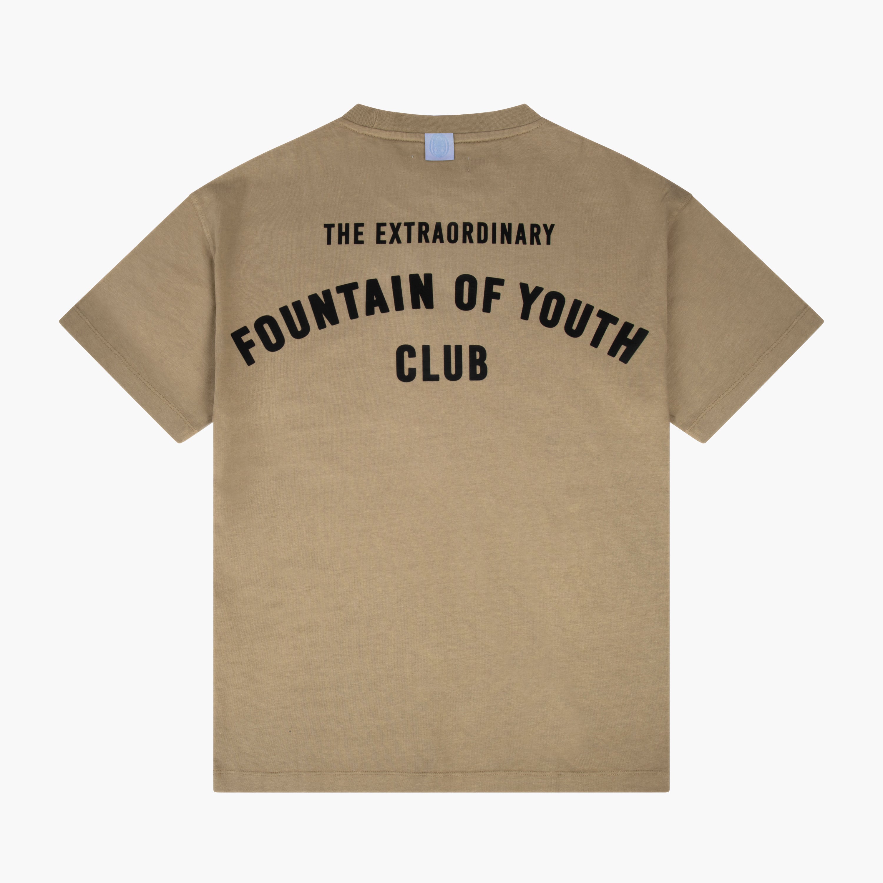 Fountain Of Youth Essential T-Shirt Wesley