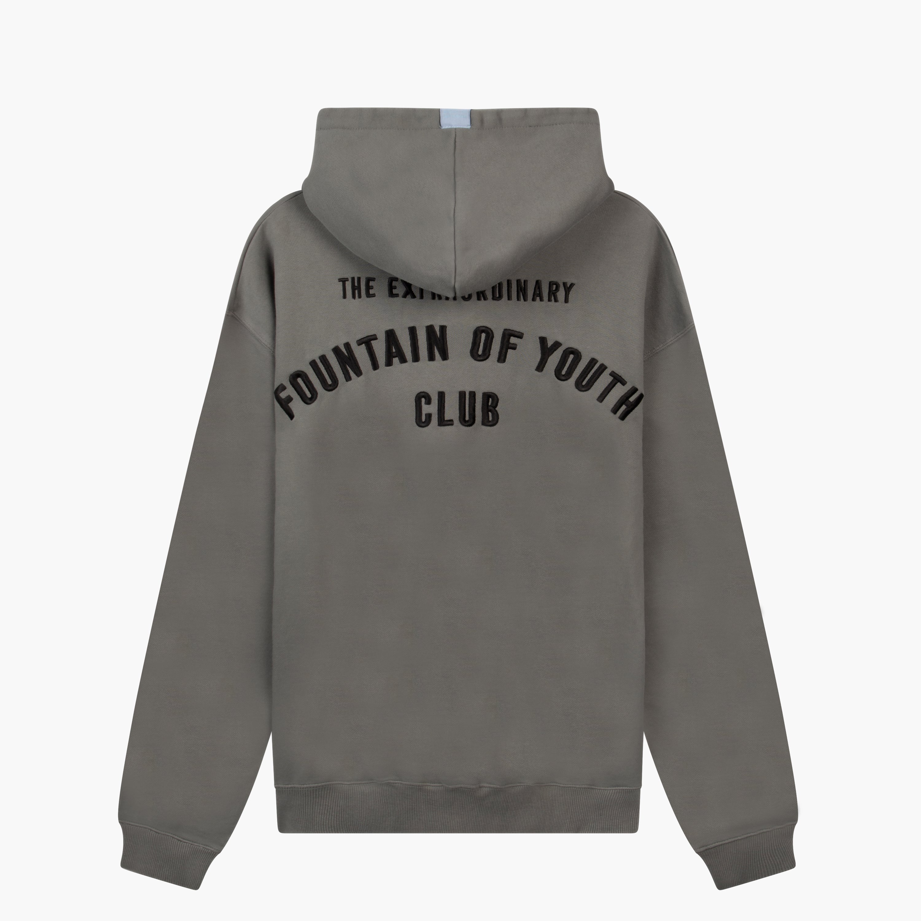 Fountain Of Youth Essential Hoodie Jesse