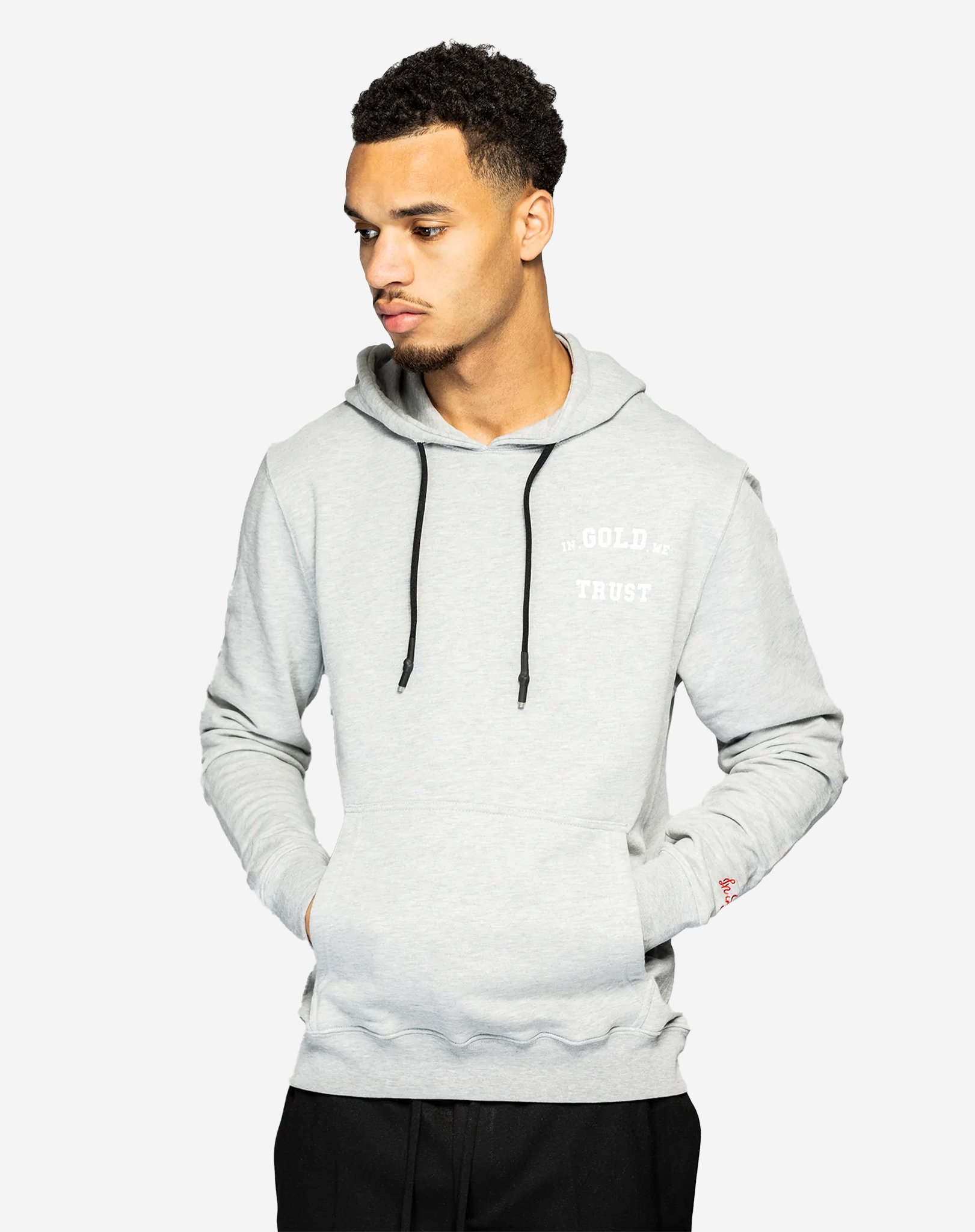 In gold we 2024 trust hoodie grey