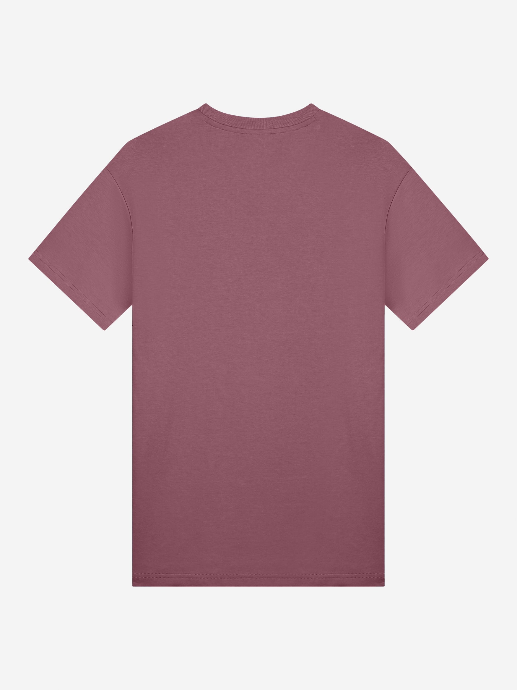 Ab Lifestyle Regular Fit T-shirt- Eggplant