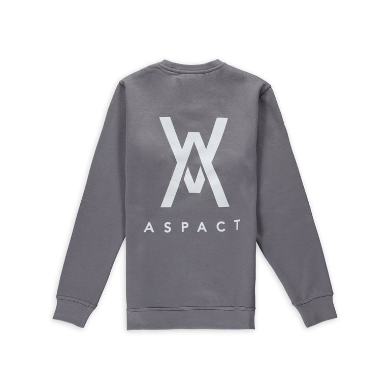 Aspact Back Logo Sweater Zilver